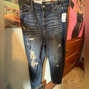 Willow & Root Mom Jeans - New With Tags